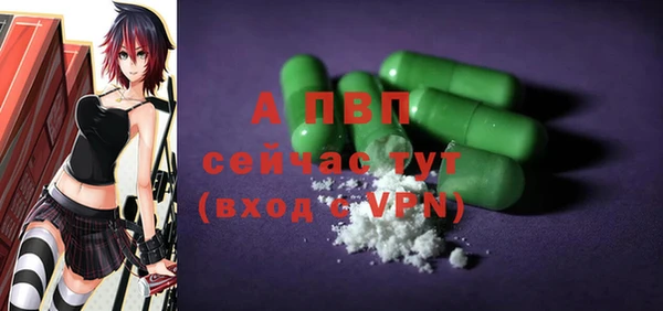 дмт Нея