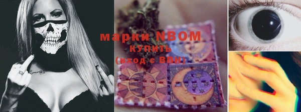 дмт Нея