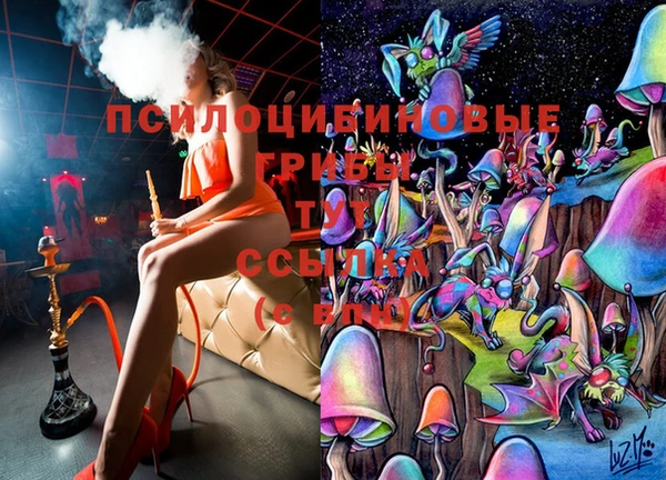 ПСИЛОЦИБИНОВЫЕ ГРИБЫ Нефтекумск