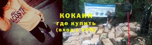 шишки Наволоки