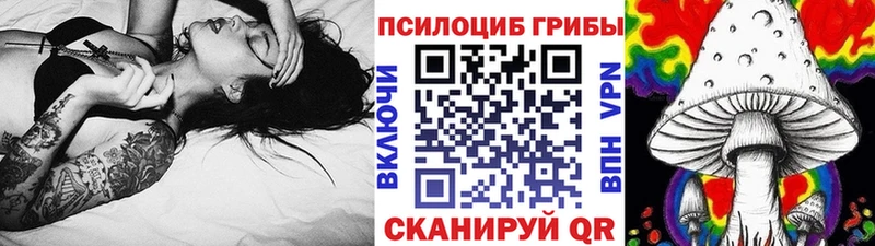 Купить  Дальнереченск  Псилоцибиновые грибы мицелий 